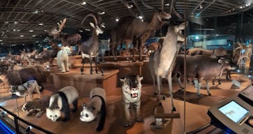 国立科学博物館に投稿された画像（2024/9/7）