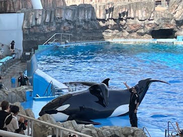 名古屋港水族館に投稿された画像（2024/9/7）