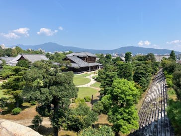 元離宮二条城に投稿された画像（2024/9/7）