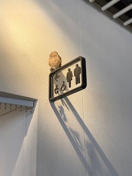 NIFREL（ニフレル）に投稿された画像（2024/9/7）