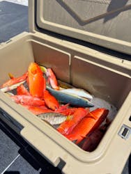 釣り船　博栄丸に投稿された画像（2024/9/7）