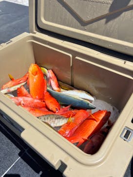 釣り船　博栄丸に投稿された画像（2024/9/7）