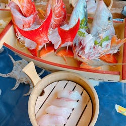 釣り船　博栄丸に投稿された画像（2024/9/7）