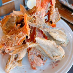 釣り船　博栄丸に投稿された画像（2024/9/7）