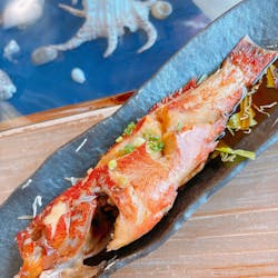 釣り船　博栄丸に投稿された画像（2024/9/7）