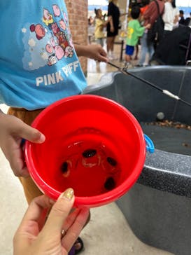 いきもの探検隊上尾に投稿された画像（2024/9/7）