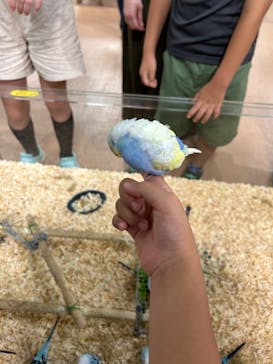 いきもの探検隊上尾に投稿された画像（2024/9/7）