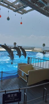 マリンワールド海の中道に投稿された画像（2024/9/7）