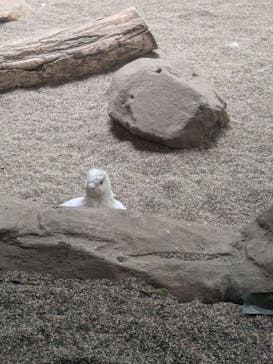 那須どうぶつ王国に投稿された画像（2024/9/7）