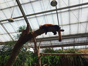 神戸どうぶつ王国に投稿された画像（2024/9/7）