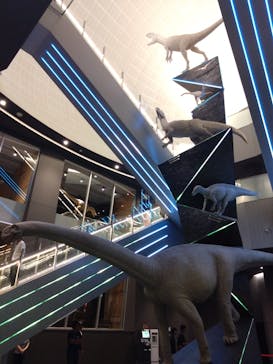 福井県立恐竜博物館に投稿された画像（2024/9/7）