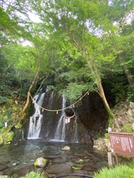 箱根湯本温泉 天成園に投稿された画像（2024/9/7）