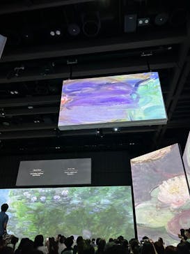 モネ＆フレンズ・アライブに投稿された画像（2024/9/7）