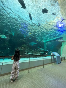 名古屋港水族館に投稿された画像（2024/9/7）