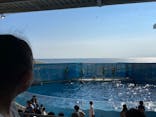 新江ノ島水族館に投稿された画像（2024/9/7）