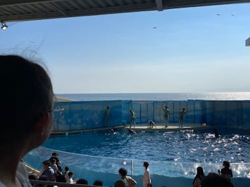 新江ノ島水族館に投稿された画像（2024/9/7）