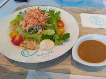 新江ノ島水族館に投稿された画像（2024/9/7）