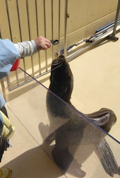 新江ノ島水族館に投稿された画像（2024/9/7）