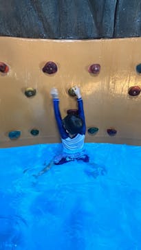 日本モンキーパークに投稿された画像（2024/9/7）