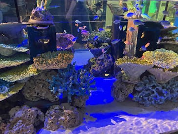 竹島水族館に投稿された画像（2024/9/7）