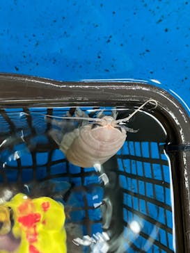 竹島水族館に投稿された画像（2024/9/7）