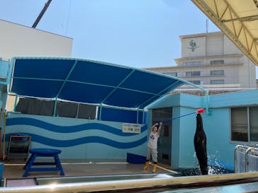 竹島水族館に投稿された画像（2024/9/7）