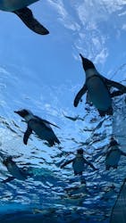 サンシャイン水族館に投稿された画像（2024/9/7）