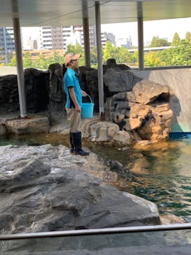 しながわ水族館に投稿された画像（2024/9/7）