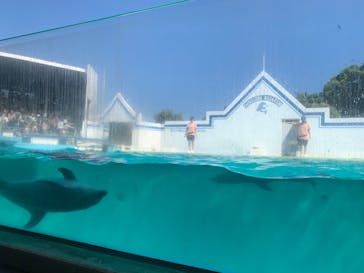 しながわ水族館に投稿された画像（2024/9/7）