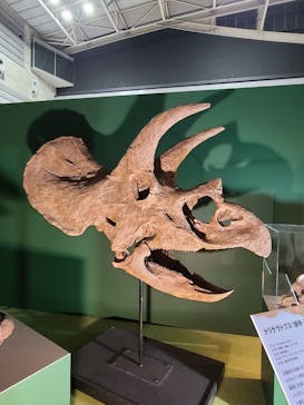 巨大恐竜展2024に投稿された画像（2024/9/7）