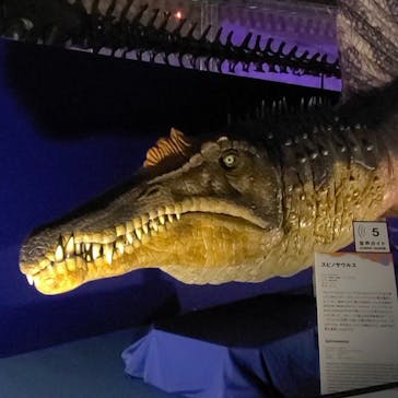 巨大恐竜展2024に投稿された画像（2024/9/7）