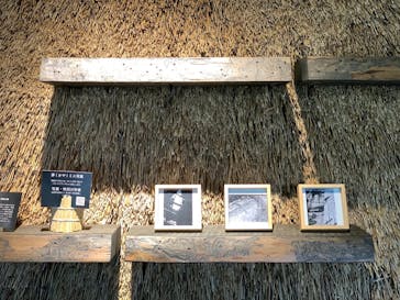 いばらきフラワーパークに投稿された画像（2024/9/7）