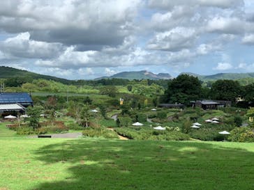 いばらきフラワーパークに投稿された画像（2024/9/7）