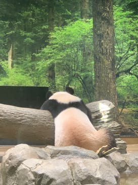 恩賜上野動物園に投稿された画像（2024/9/7）