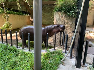 恩賜上野動物園に投稿された画像（2024/9/7）