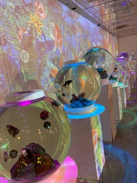 NARA KINGYO MUSEUMに投稿された画像（2024/9/7）