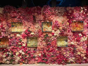 NARA KINGYO MUSEUMに投稿された画像（2024/9/7）