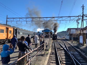 大井川鐵道株式会社に投稿された画像（2024/9/7）