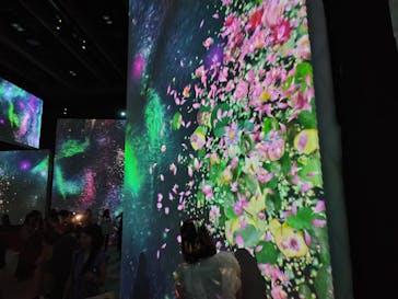 モネ＆フレンズ・アライブに投稿された画像（2024/9/7）