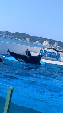 鴨川シーワールドに投稿された画像（2024/9/7）