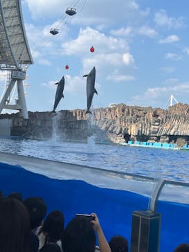 名古屋港水族館に投稿された画像（2024/9/7）
