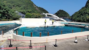 太地町立くじらの博物館に投稿された画像（2024/9/7）