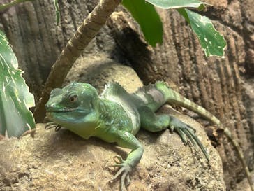 名古屋市東山動植物園に投稿された画像（2024/9/7）