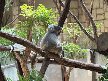 名古屋市東山動植物園に投稿された画像（2024/9/7）