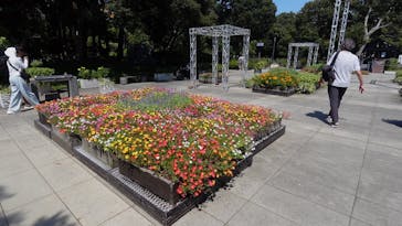 江の島1dayに投稿された画像（2024/9/7）