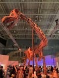巨大恐竜展2024に投稿された画像（2024/9/7）