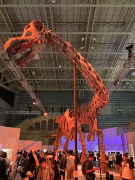 巨大恐竜展2024に投稿された画像（2024/9/7）