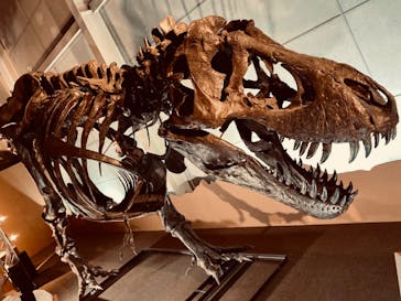 巨大恐竜展2024に投稿された画像（2024/9/7）