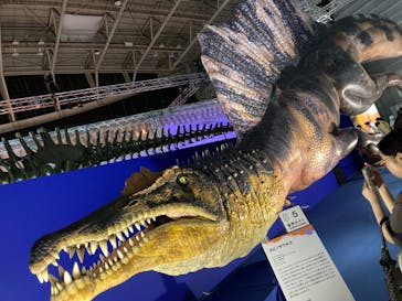 巨大恐竜展2024に投稿された画像（2024/9/7）