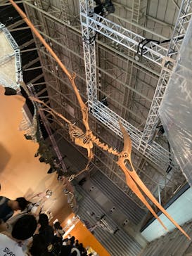 巨大恐竜展2024に投稿された画像（2024/9/7）